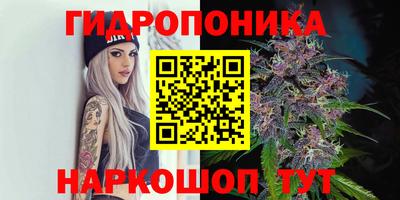 mdpv Шелехов