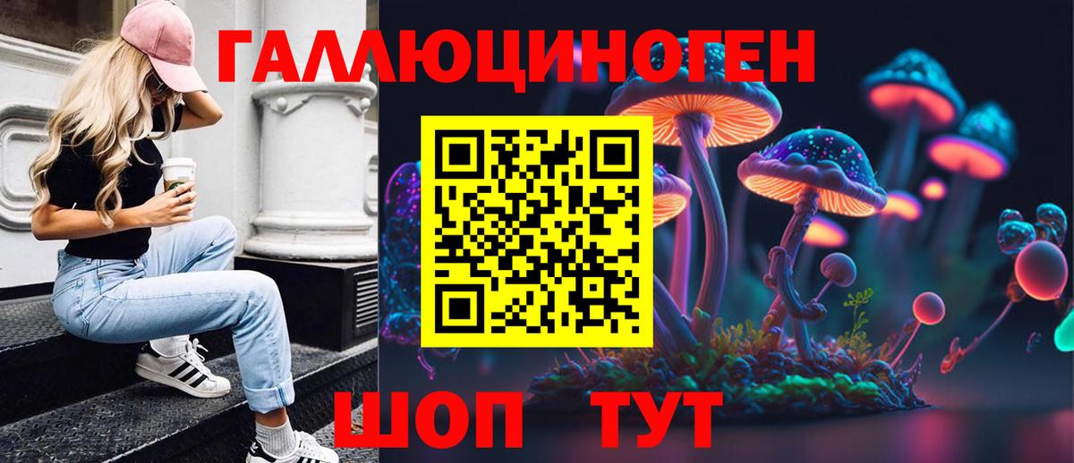 Боровичи  Галлюциногенные грибы Psilocybine cubensis  Вход с VPN 